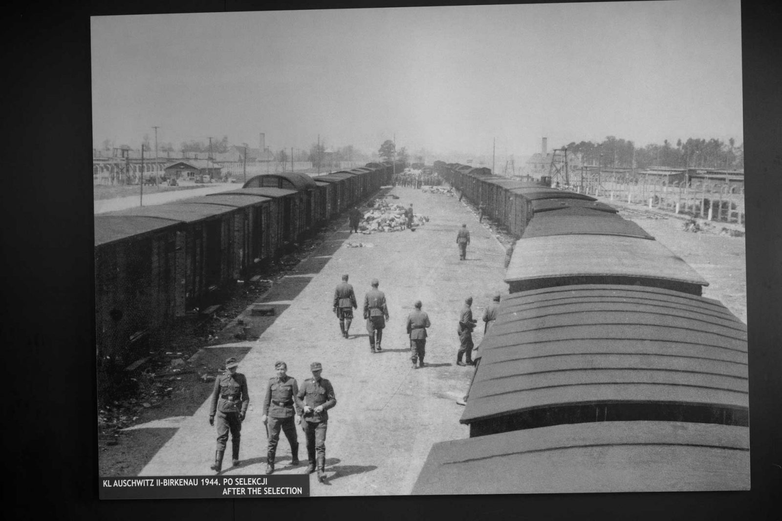 Auschwitz-Birkenau