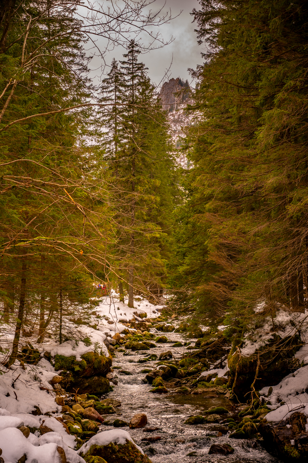 Tatra Gebirge